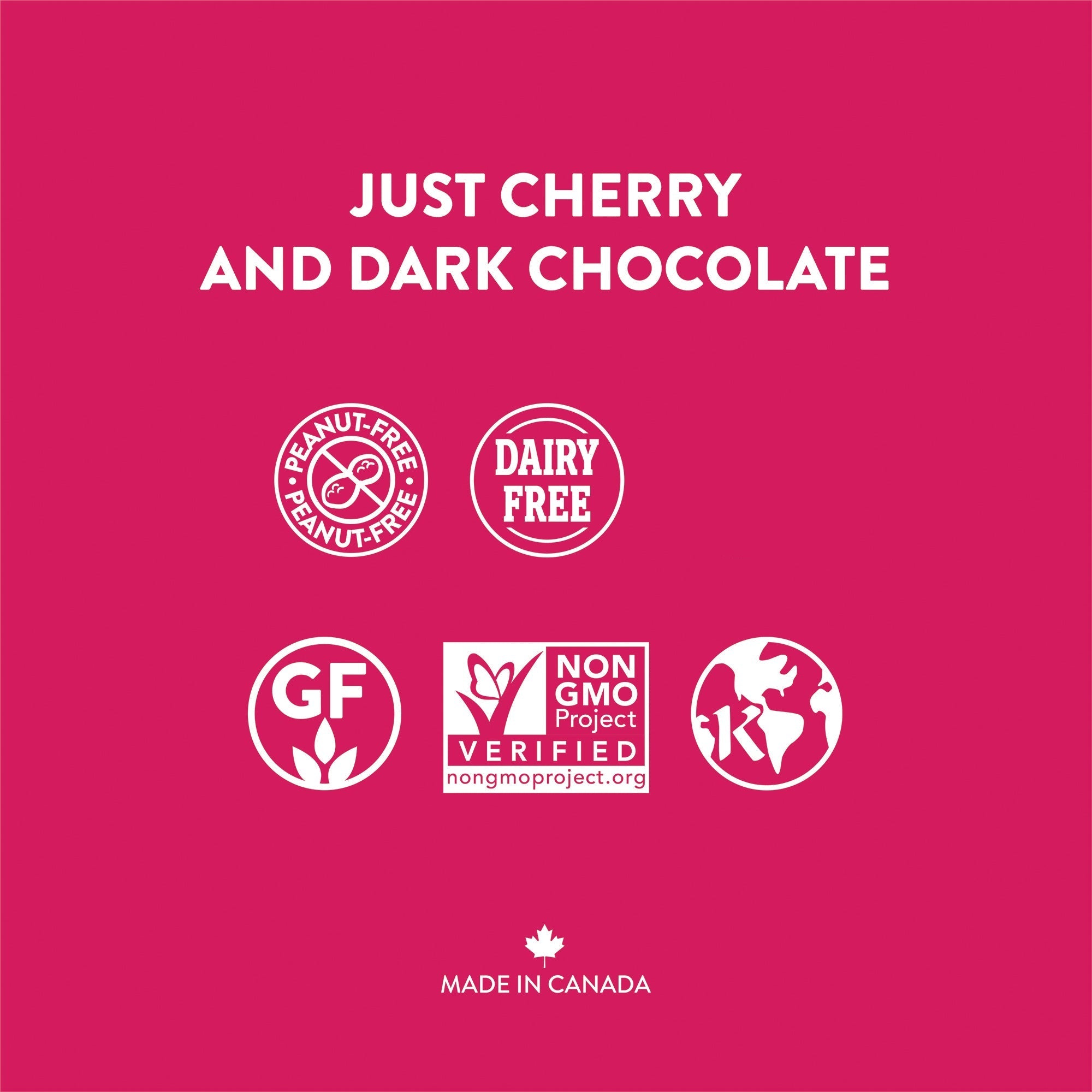 Cherry Dark Chocolate Superfoods Single Serve