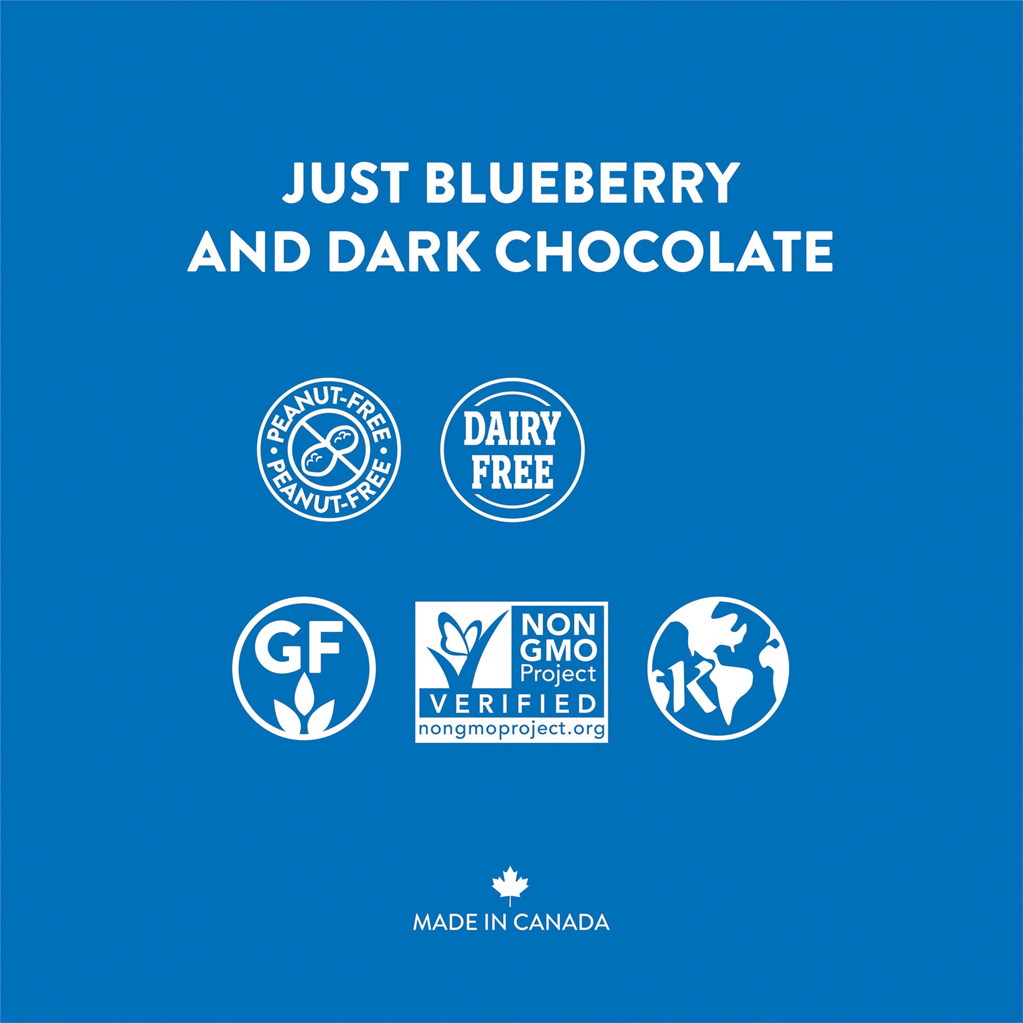 Blueberry Dark Chocolate Superfoods